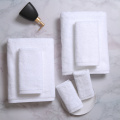 /msite/products/detail/productid/62970862/id/1514621.html