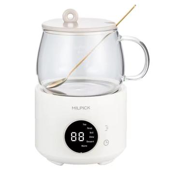 Mini multifunctional health pot
