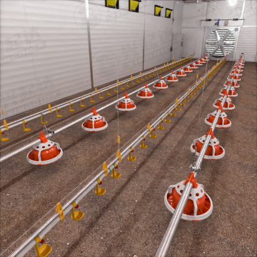 Fully Automatic Pan Feeder Line for Free-Range Chicken Broiler Breeder Poultry Farming