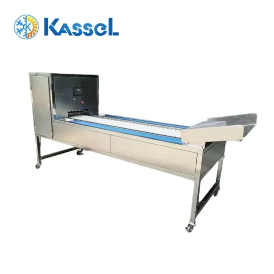 Commercial Vegetable Cleaning Machine