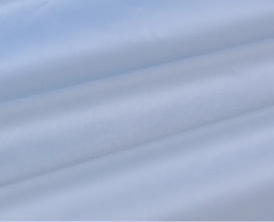 380T Light Circular Nylon Taffeta Fabric