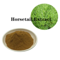 Buy online active ingredients Horsetail Extract powder