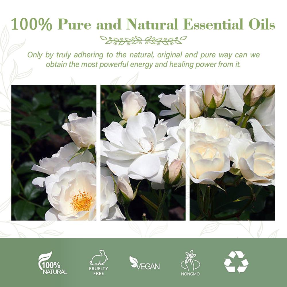 Wholesale Pure Natural Gardenia Essential Oil Good Quality