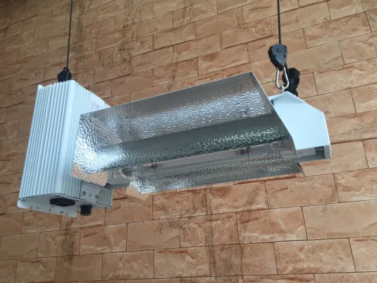 Integrated 1000w Double Ended Grow Lights Fixture for Indoor Plants