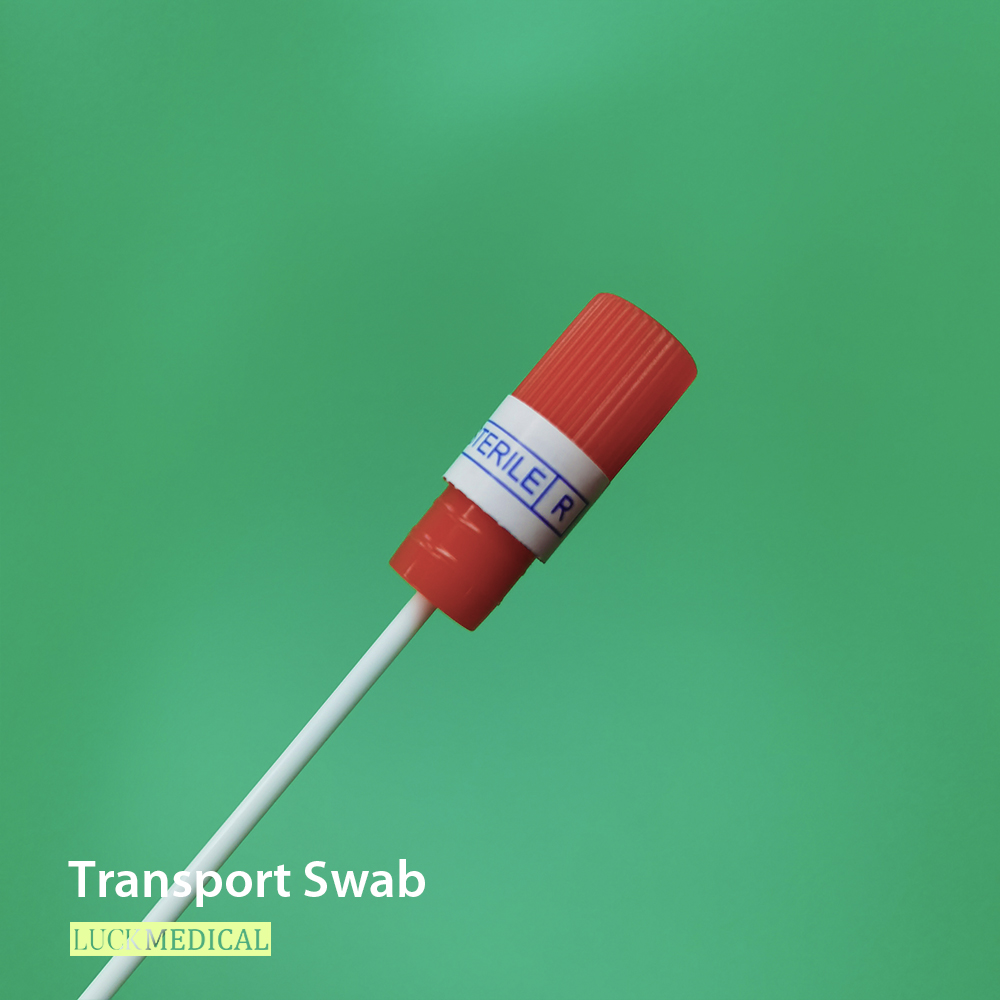 Swab de transporte no tubo com rayon/viscose de plástico