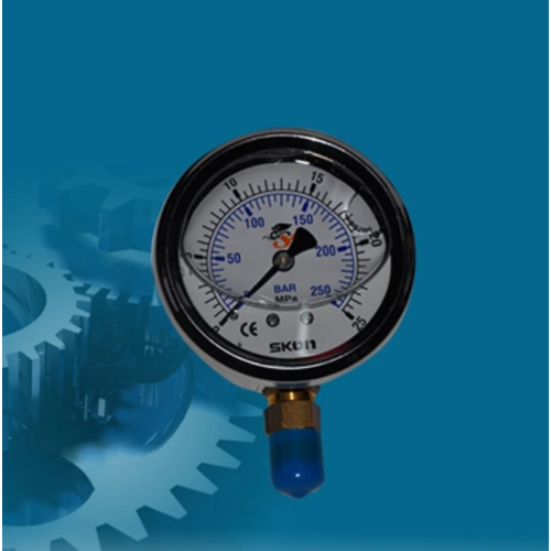 Hydraulic pressure gauge for industrial hydraulic system