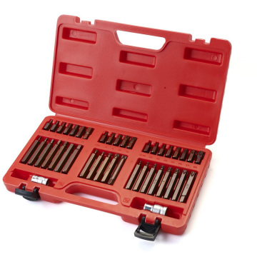 Pondrio personalizzabile CR-V a 42 pezzi CROWDRIVER E BIT TORX BIT