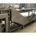 Automatic Potato Chips Blanching Equipment