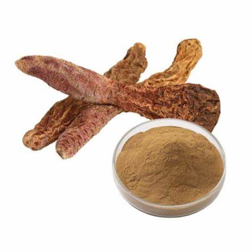 Healthcare Supplement Cynomorium extract