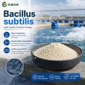 Bacillus subtilis مسحوق بروبيوتيك للزراعة والأعلاف وتربية الأحياء المائية