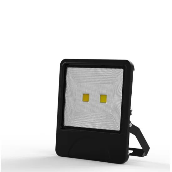 100W Private  Mould LED Flood Light