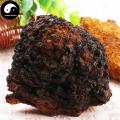 Inonotus Obliquus, Chaga Mushroom, Bai Hua Rong