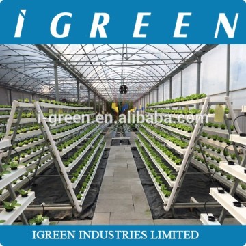 Multi-layer PVC lettuce hydroponics growing system