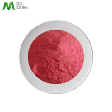 Massenpreis Vitamin B12 Pulver Cobalamine