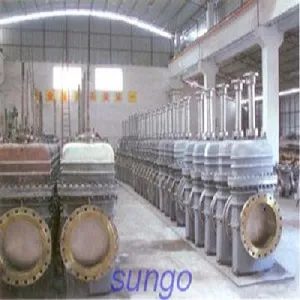 Direct Connection Through Conduit Gate Valve