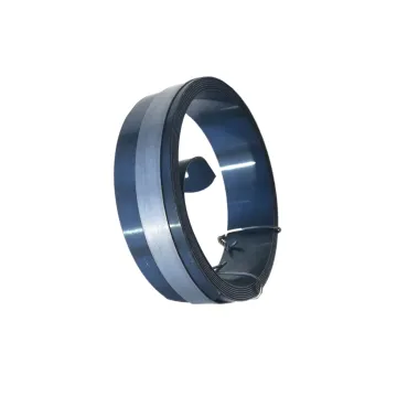 Factory Direct High Carbon Spring Steel Coils and Strips - C75, C67, 65Mn, 50#, C75Cr1, C75s Roller Shutter Spring Steel