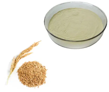 Wholesale Rice Bran Powder Extract Ferulic Acid Powder