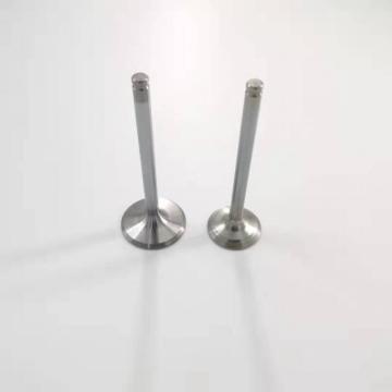 Widely Used intake & exhaust engine valve