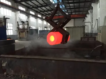 Valve Forging Components-Forging Body