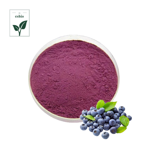 High Quality Blueberry Powder