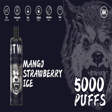 Energy Vape 5000 Puffs Disposable Vape