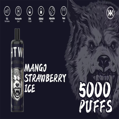 Energy Vape 5000 Puffs Disposable Vape