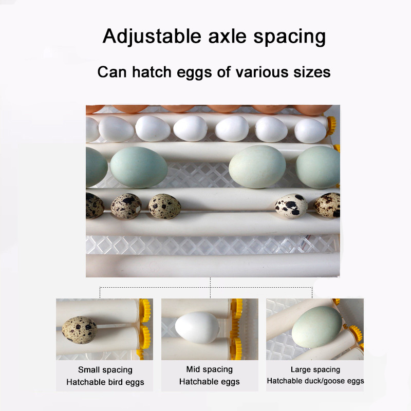 Small household automatic intelligent egg incubator chicken duck goose pigeon mini incubator