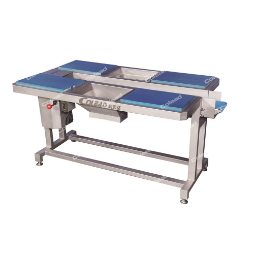 Food Vegetable Fruit Selecting Conveyor