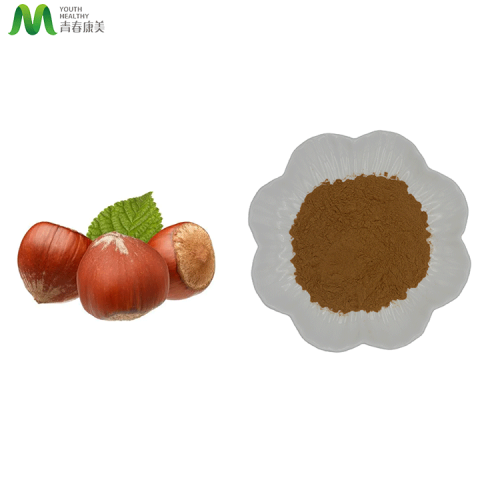 Rich in Dietary Fiber Hazelmut Extract Powder Price