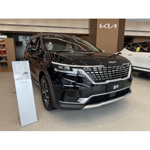 Kia Carnival practical car