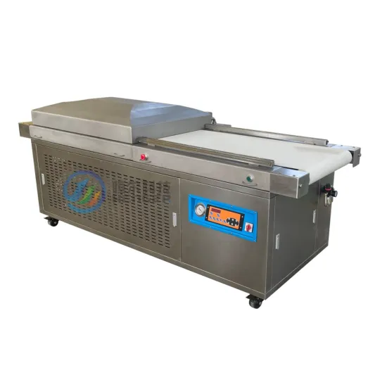 DZ500 Vacuum Packing Machine - Food Sealing and Meat Packer with Vacuum Seal Bags