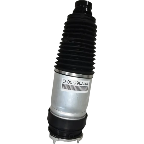 Brand New Pneumatic Damper Air Struts Air Spring Shock for Tesla Model X AWD