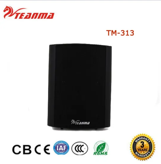 Wholesale Guangzhou manufacture TM313 40W 6' pa home theater speaker
