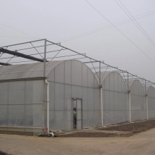 Commercial Hydroponic Plastic Film Green House