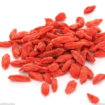 Bulk NingXia dried goji berry