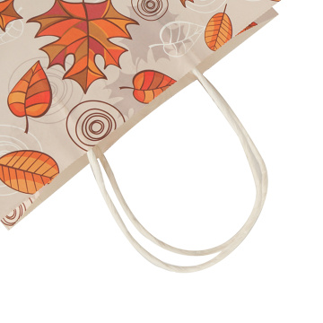 Colourful Handle Autumn Fancy Paper Bags Packaging GiftBag