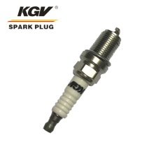 CNG/LPG Double Iridium Spark Plug D-BKR7EIX.