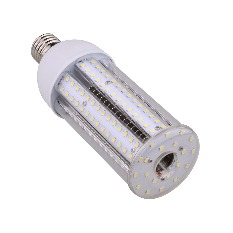 Corn Cob Bulb (9)