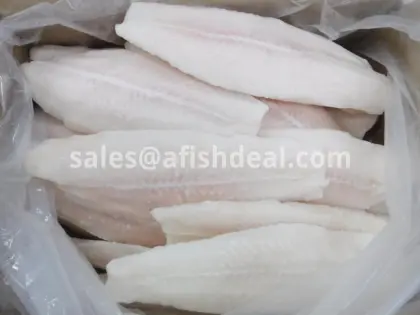 FROZEN PANGASIUS FISH - SWAI -  BASA