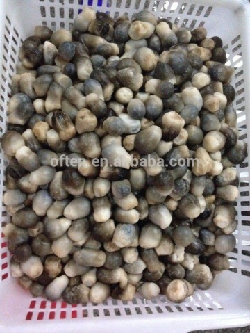 factory canned straw mushroom canned straw mushroom wholesale