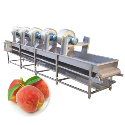 Vegetable and Fruit Cleaning Drying Machine