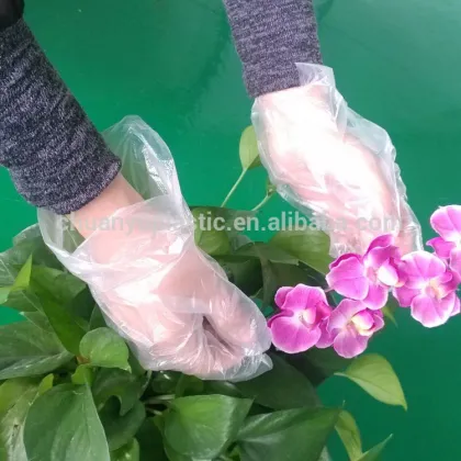 PE glove plastic gloves disposable transparent gloves