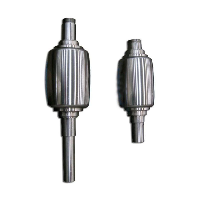 SAE1045 forged steel roller shaft