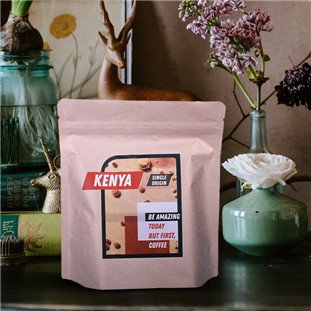 Instant coffee brewer bags