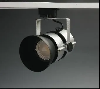 Silver / Silver Sand 15w Led Track Lights With Adjustable Angel For General Lighting