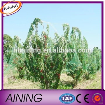 PP/ LDPE Deer netting/Bird netting/poultry netting