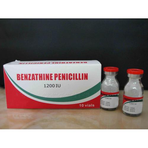 Benzathine Benzylpenicillin for Injection Penicillin BP