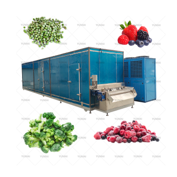 Automatic Sus 304 2024 Linea di produzione di cubi di carota IQF Frozen