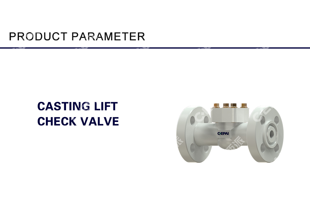 Casting Lift Check Valve012
