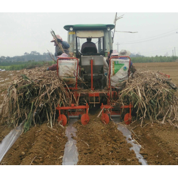 Sembradora de caña de azúcar sembradora de caña en la India